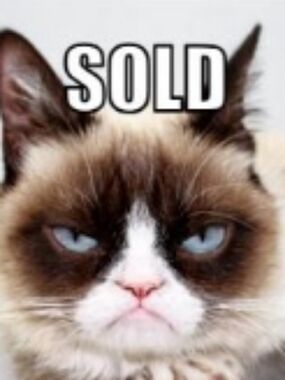 Adidas Unisex CYCLING Sneakers White and Light Gray